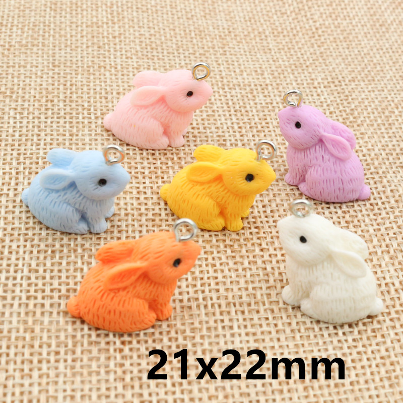 10PCS Resin Pendant Charms Rab - Resin Art Supplies review and price